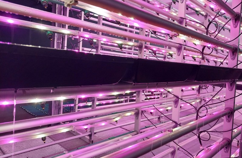 Racks de agricultura en ambiente controlado
